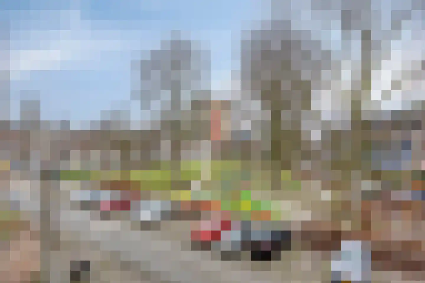 Sint-Jacobsplaats 78 Rotterdam thumbnail 56