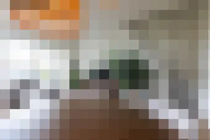 Sint-Jacobsplaats 84 Rotterdam thumbnail 9