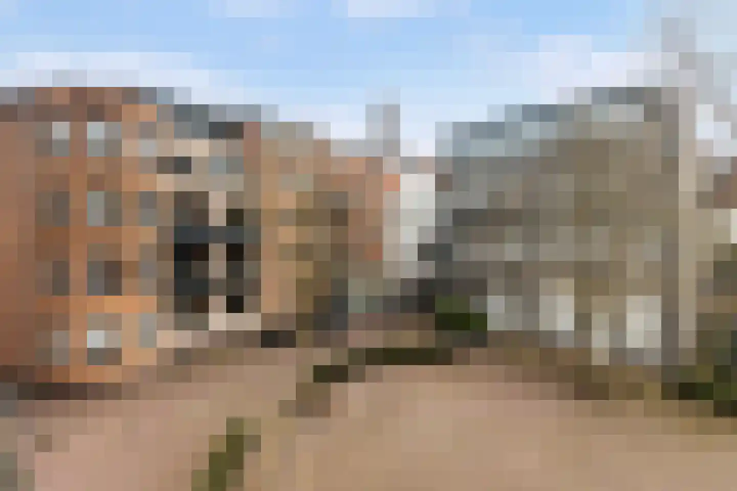 Sint Jacobsplein 44 Dordrecht thumbnail 19