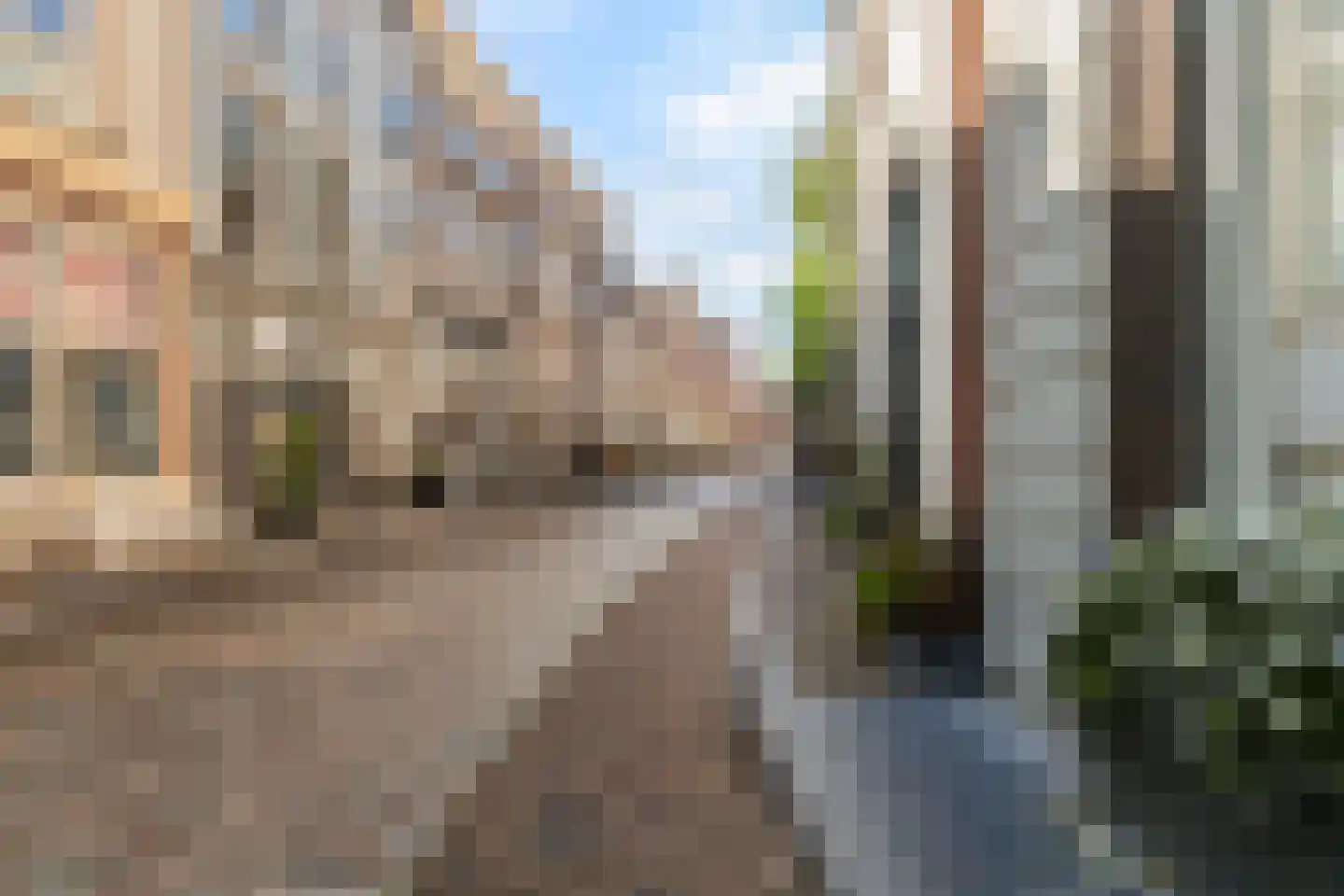 Sint Jacobsplein 44 Dordrecht thumbnail 22