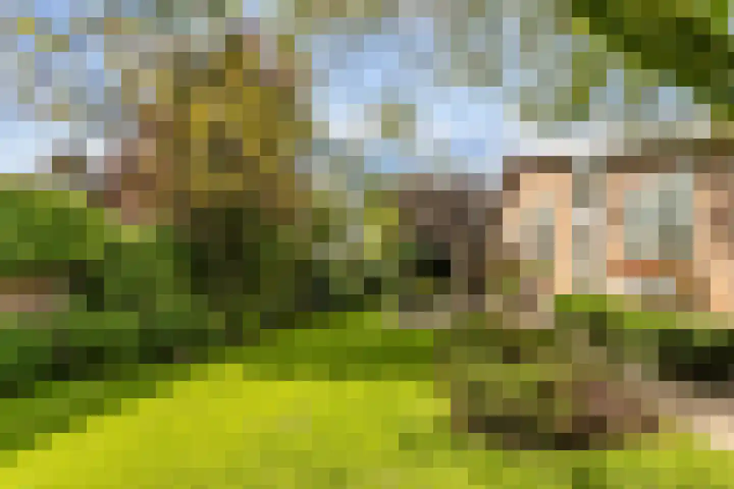 Sint Jacobsstraat 3 b Galder thumbnail 35