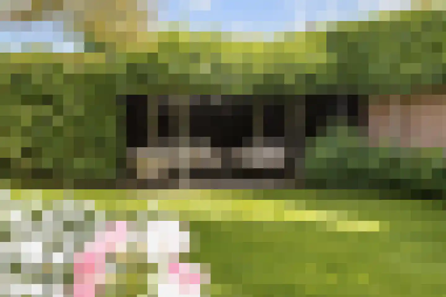 Sint Jacobsstraat 3 b Galder thumbnail 38