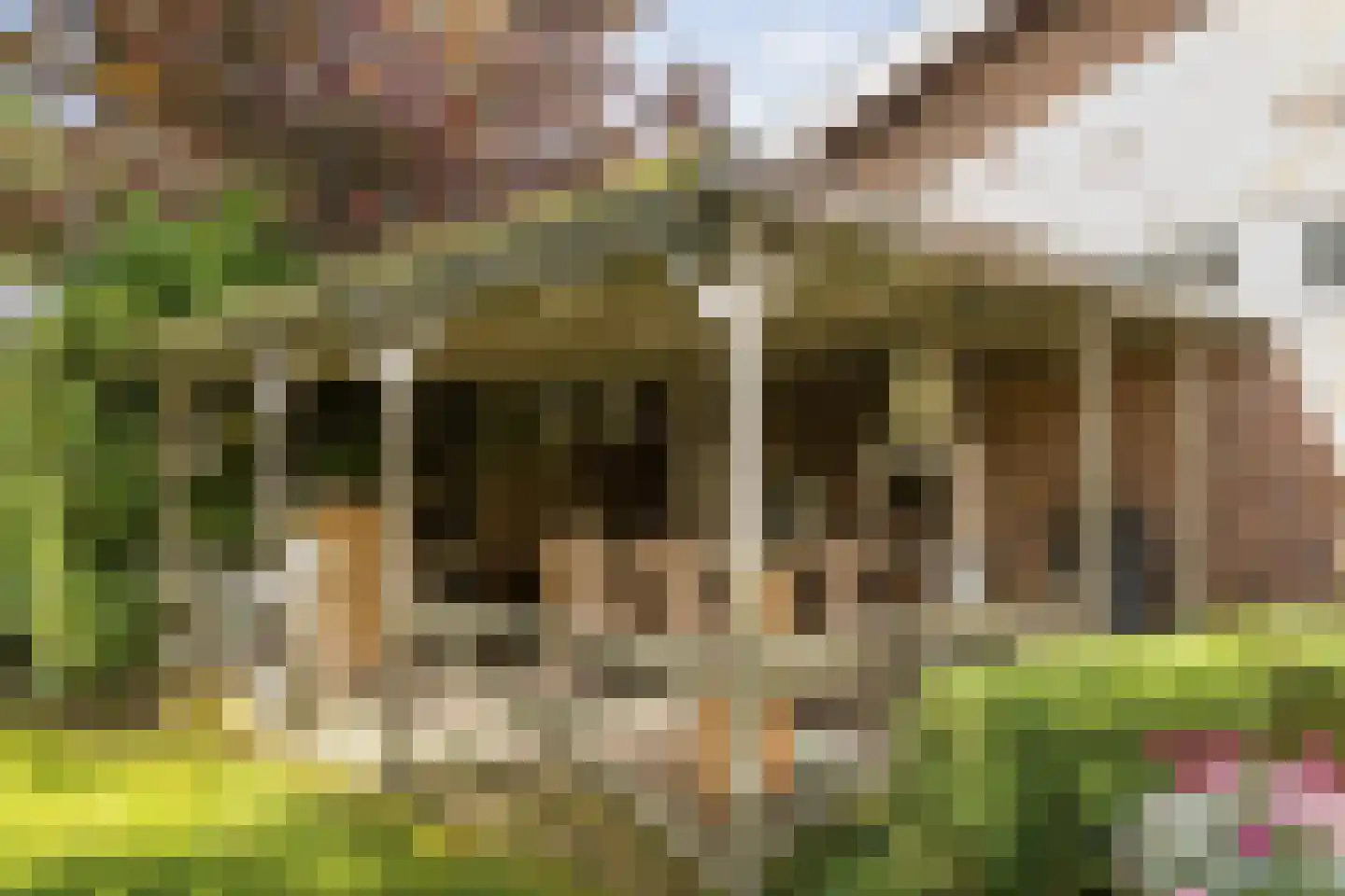 Sint Jacobsstraat 3 b Galder thumbnail 40