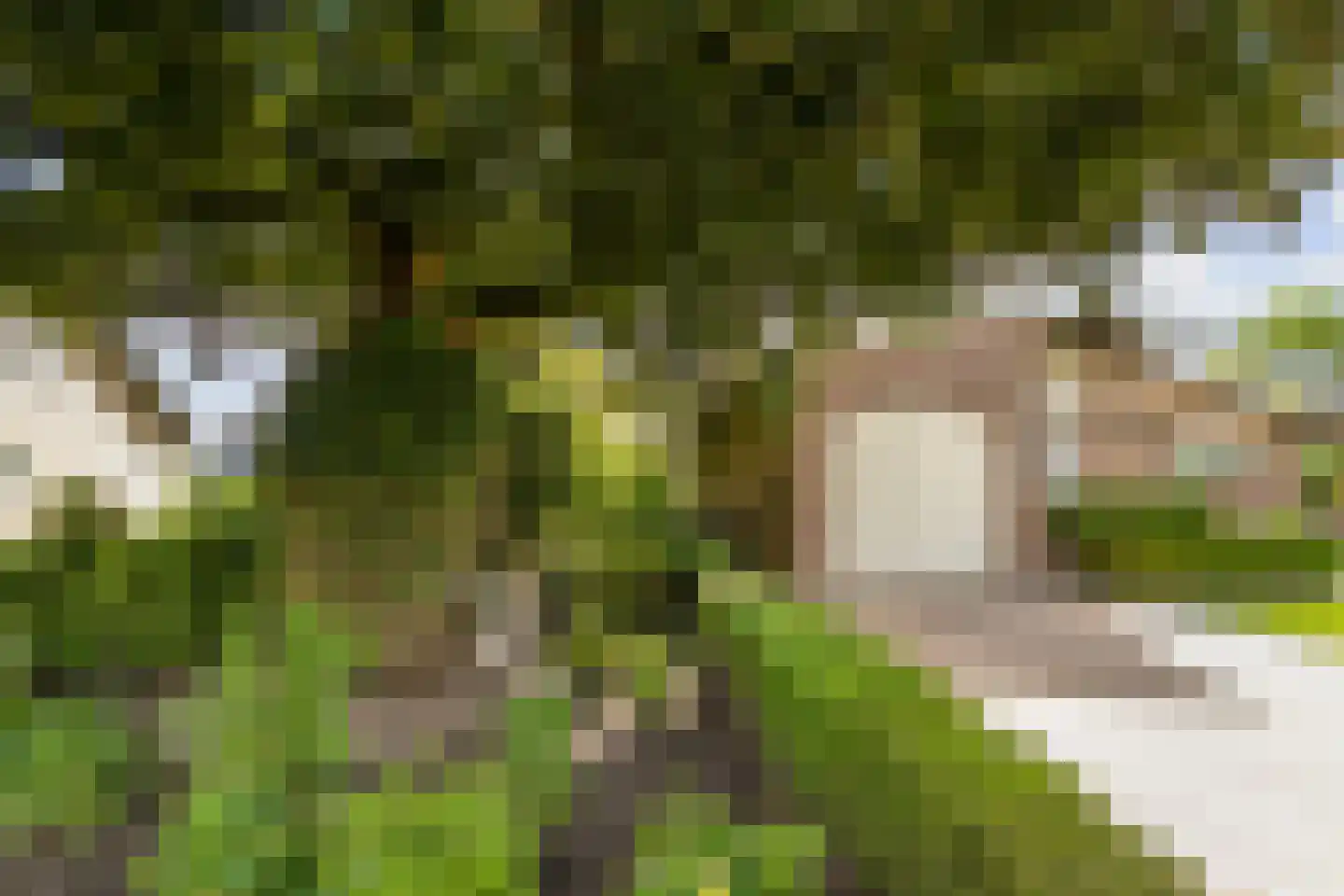 Sint Jacobsstraat 3 b Galder thumbnail 43
