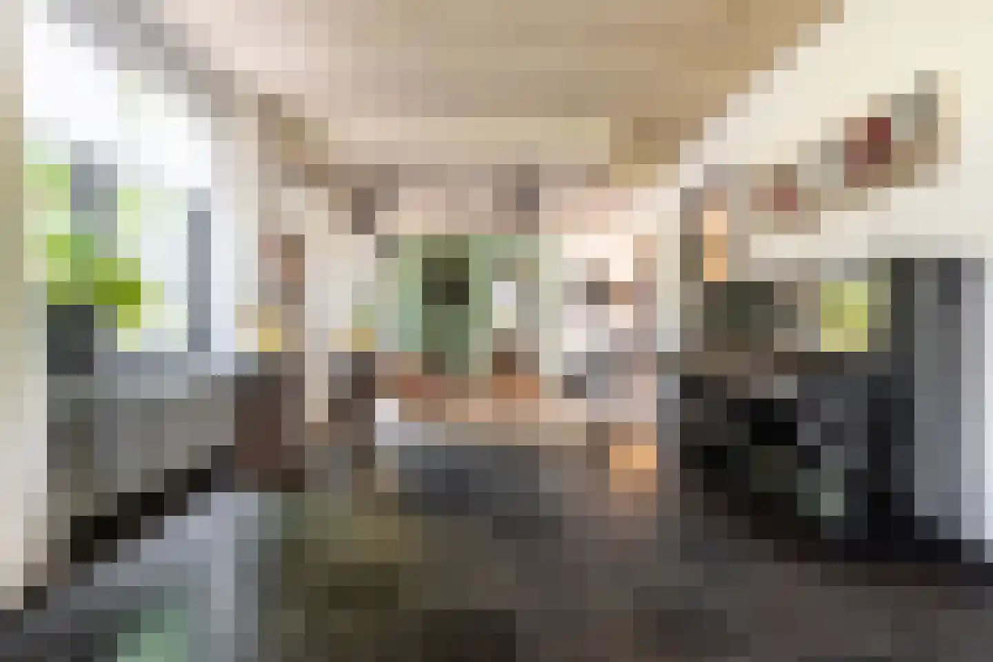 Sint Jacobsstraat 40 Galder thumbnail 13