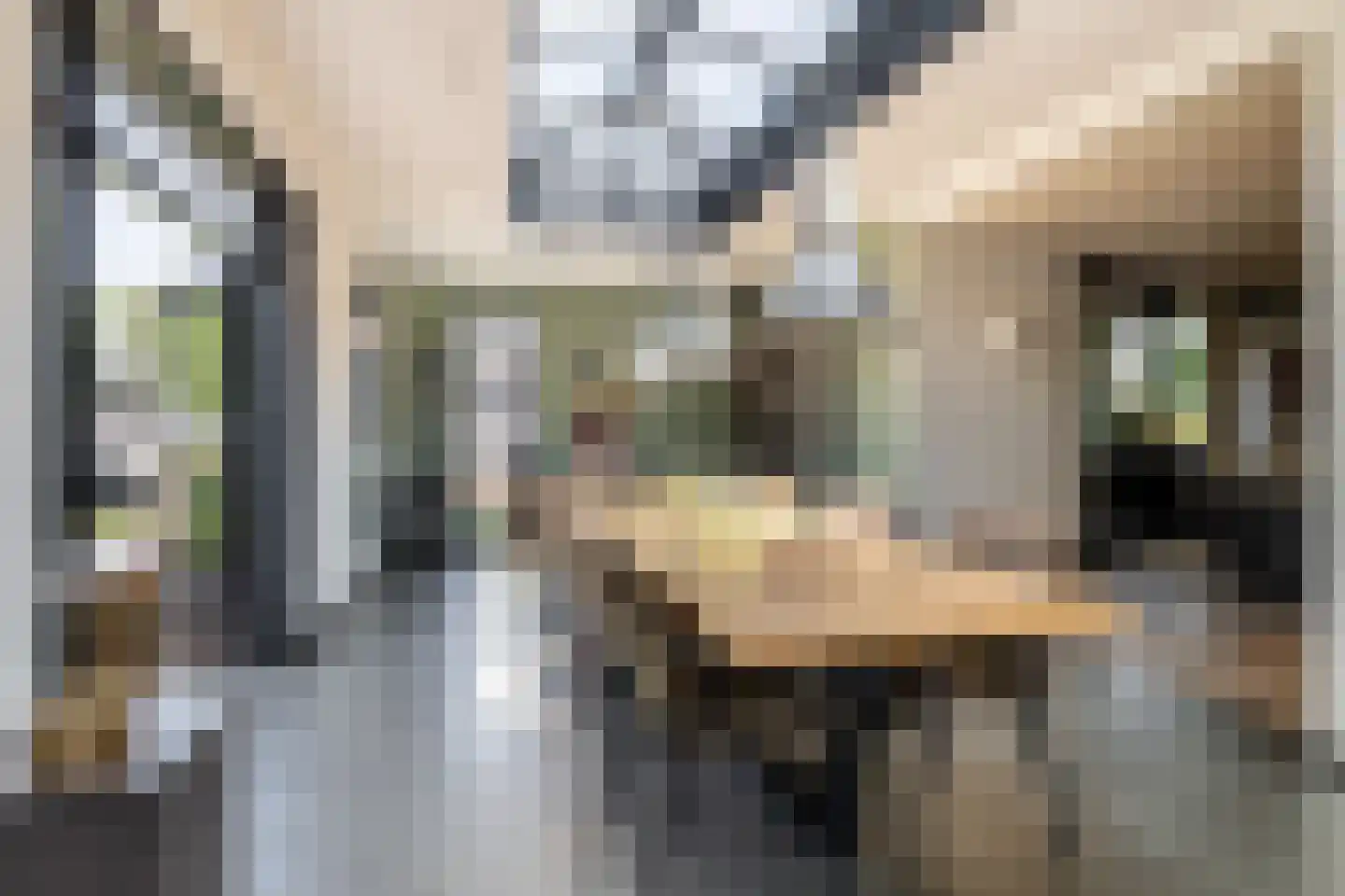 Sint Jacobsstraat 40 Galder thumbnail 19
