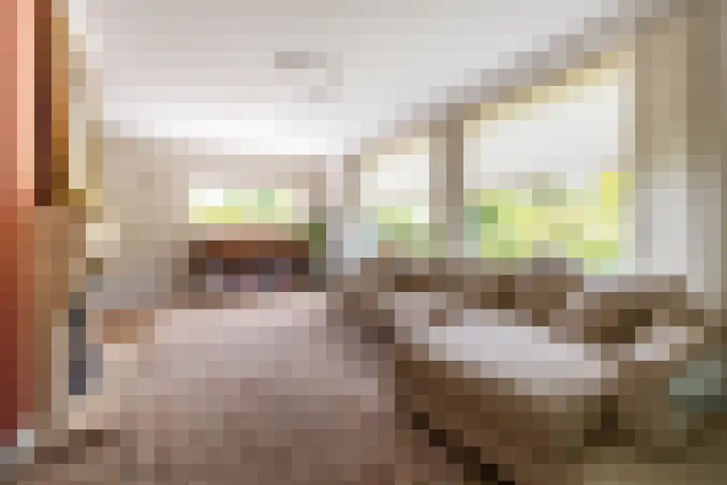 Sint Jacobsstraat 9 Galder thumbnail 11