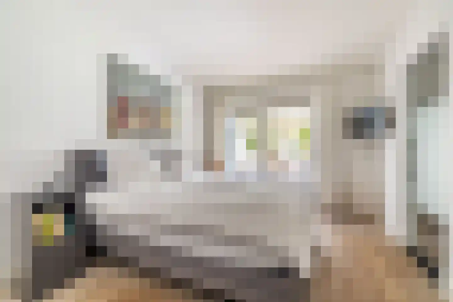 Sint Jacobsstraat 9 Galder thumbnail 22