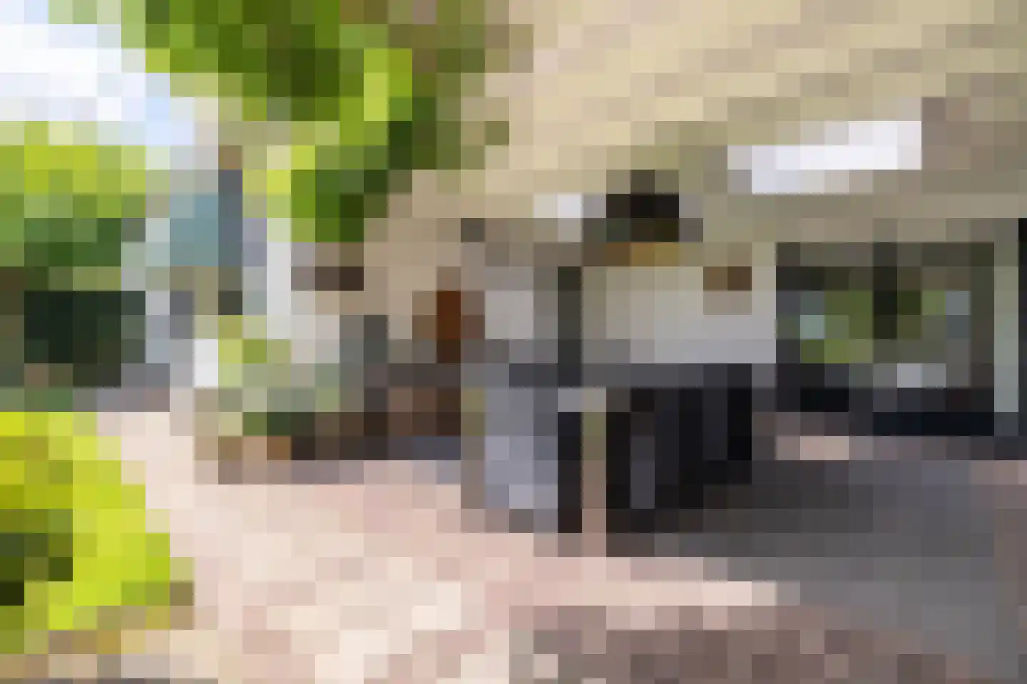 Sint Jacobsstraat 9 Galder thumbnail 33