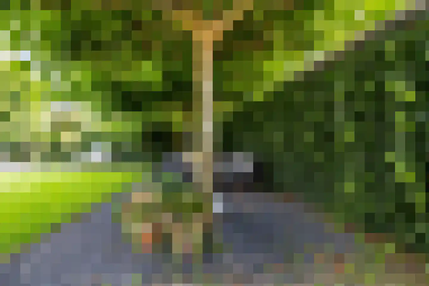 Sint Jacobsstraat 9 Galder thumbnail 36
