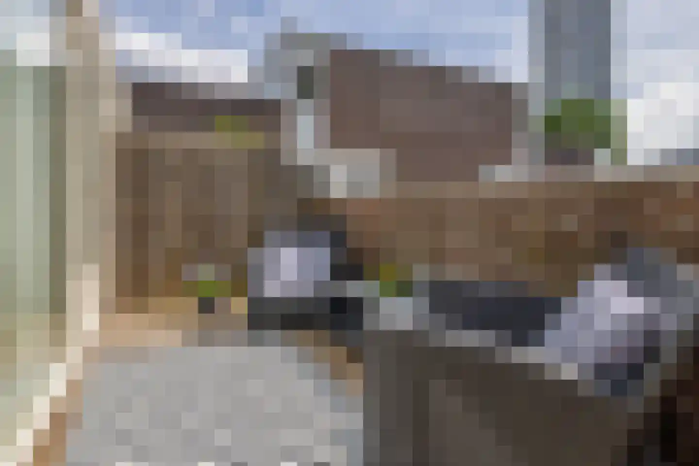 Sint-Jacobstraat 107 Rotterdam thumbnail 23
