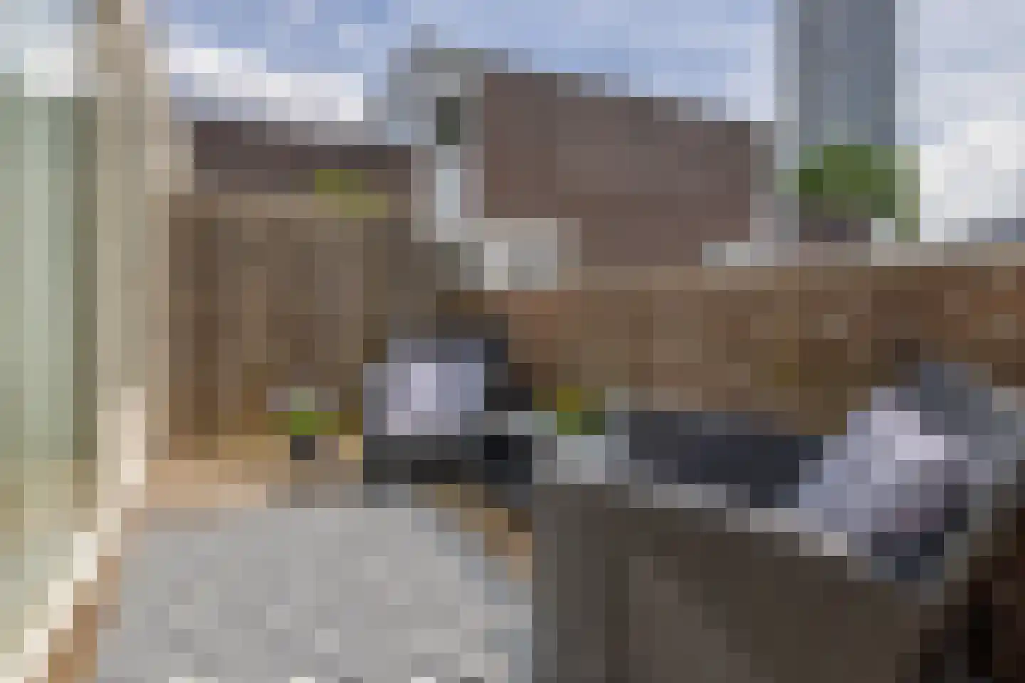 Sint-Jacobstraat 107 Rotterdam thumbnail 24