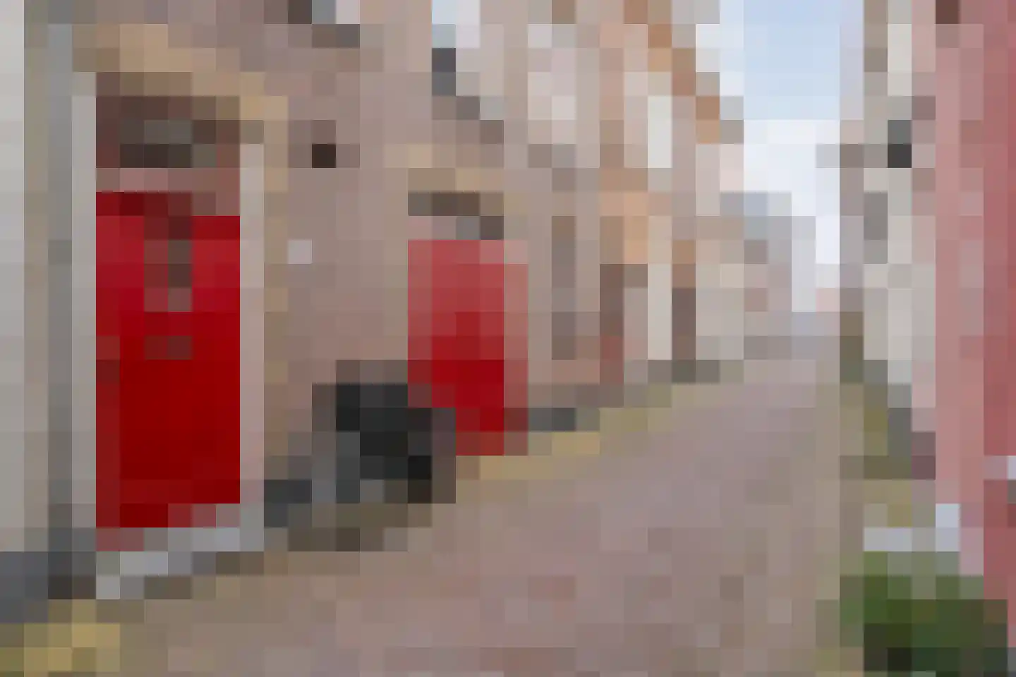 Sint Jacobstraat 11 Kampen thumbnail 44