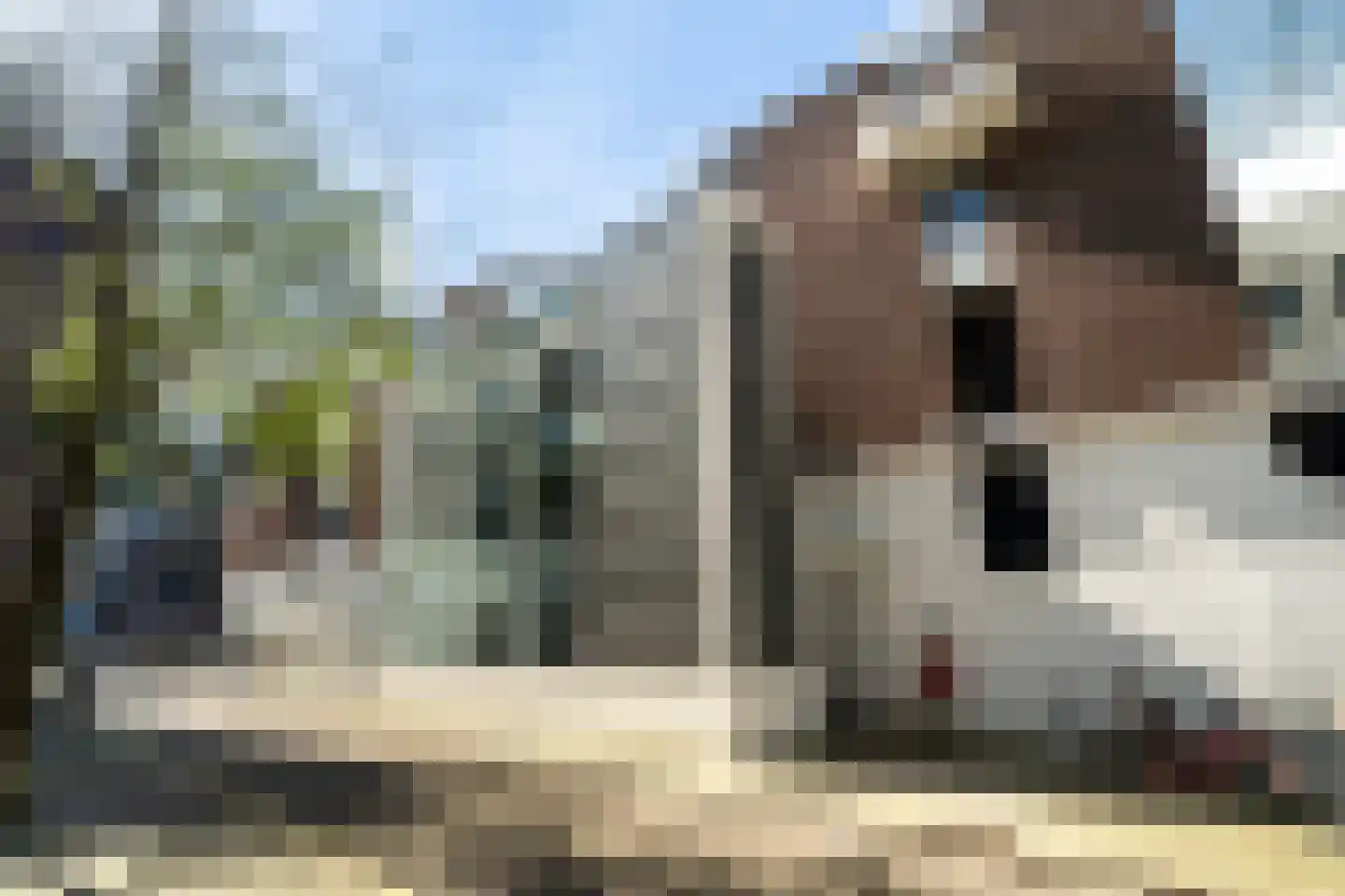 Sint-Jacobstraat 181 Rotterdam thumbnail 6