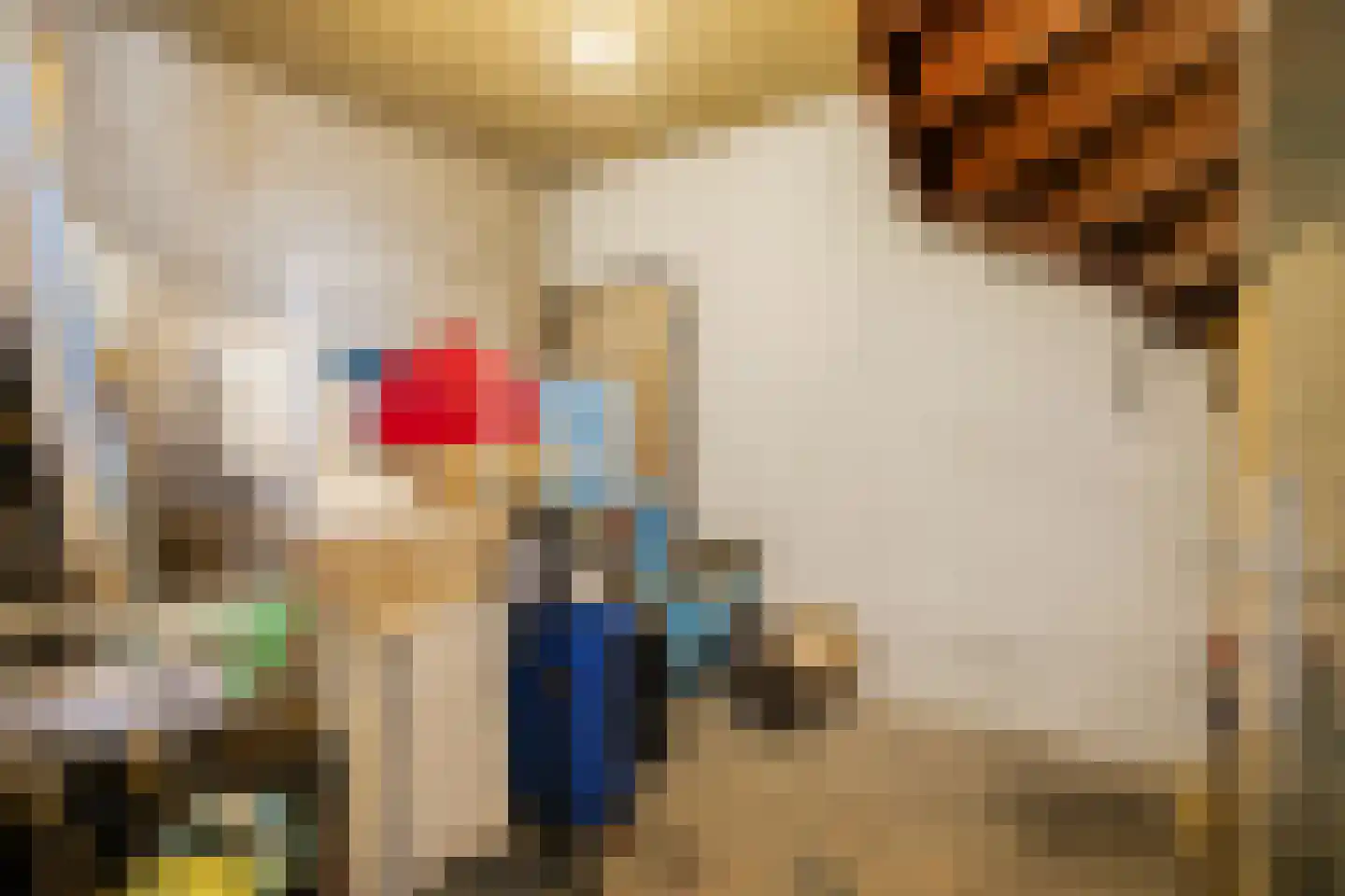 Sint-Jacobstraat 209 Rotterdam thumbnail 31