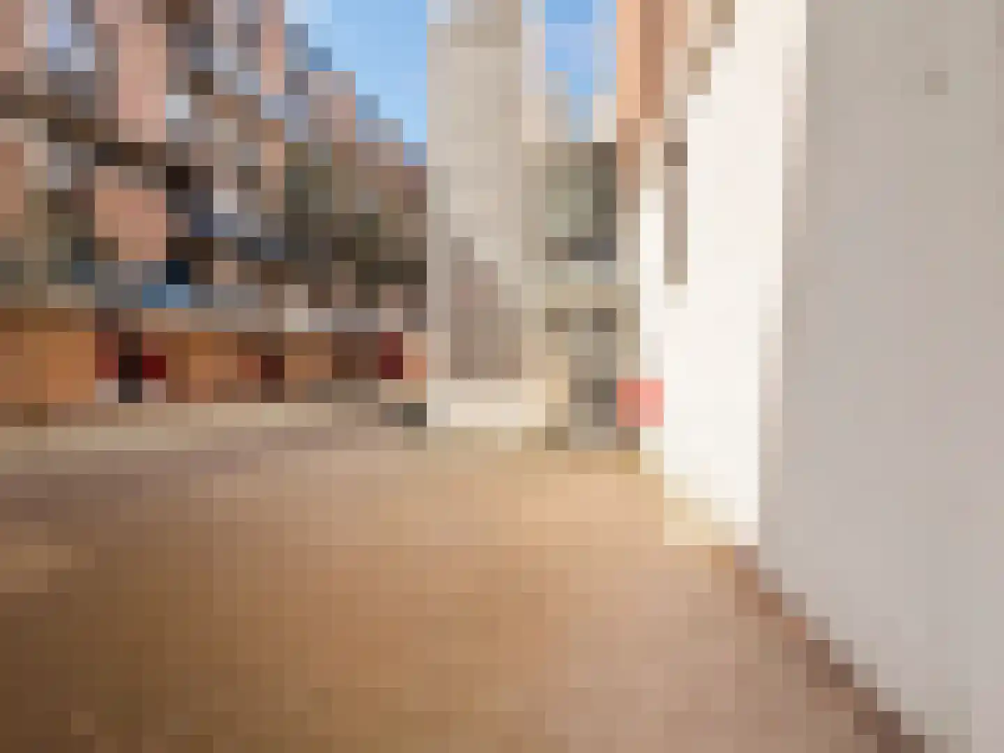 Sint-Jacobstraat 209 Rotterdam thumbnail 36