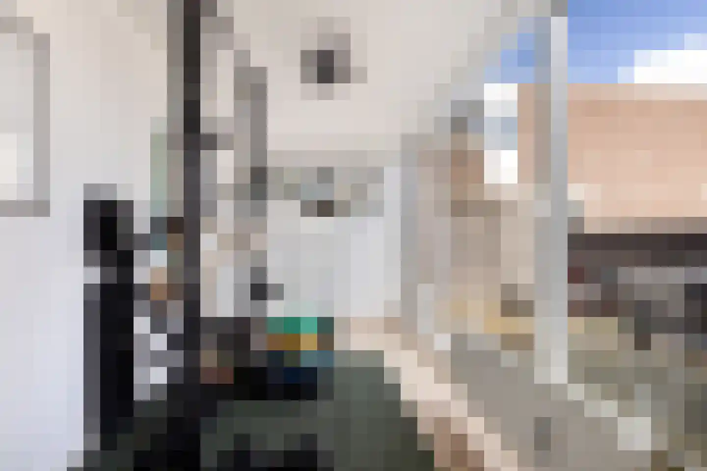 Sint-Jacobstraat 223 Rotterdam thumbnail 23