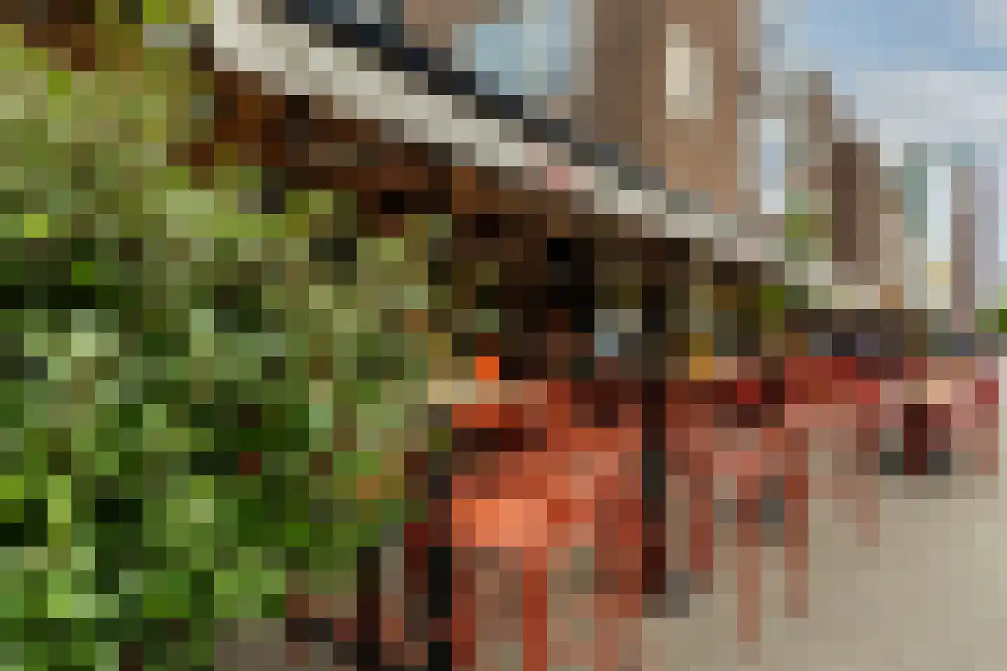 Sint-Jacobstraat 223 Rotterdam thumbnail 47