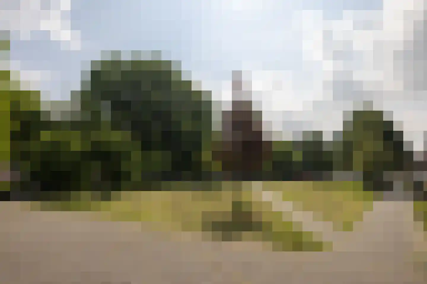Sint-Jacobstraat 227 Rotterdam thumbnail 5