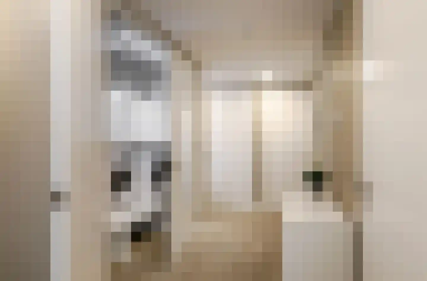 Sint Jacobstraat 31 's-Hertogenbosch thumbnail 37