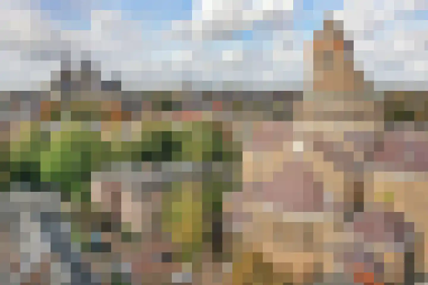 Sint Jacobstraat 31 's-Hertogenbosch thumbnail 51