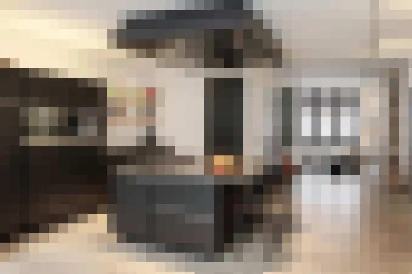 Sint Jacobstraat 31 's-Hertogenbosch thumbnail 6