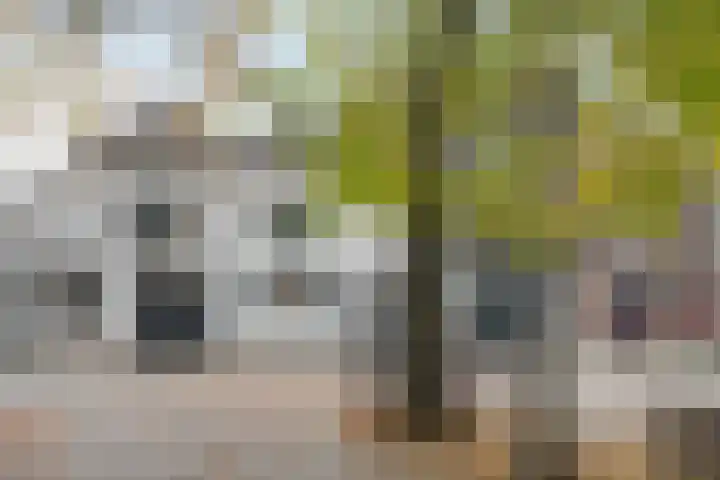 Sint Jacobstraat 4 's-Hertogenbosch thumbnail 24