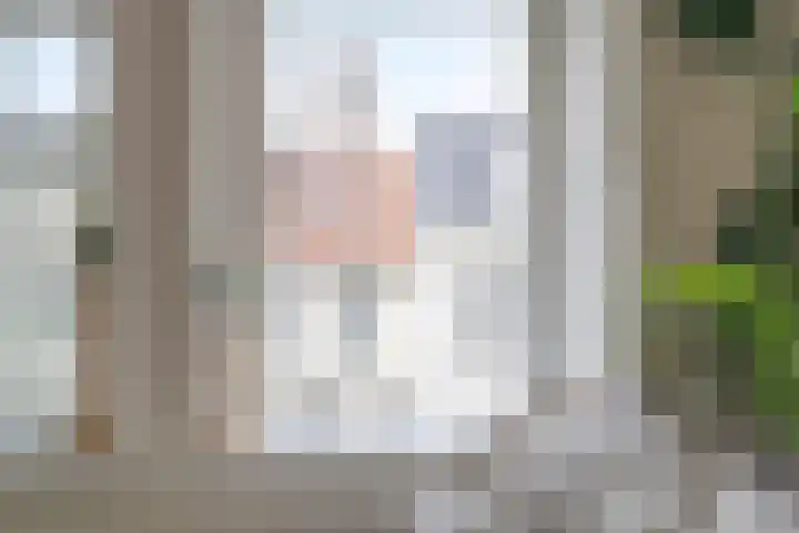 Sint Jacobstraat 4 's-Hertogenbosch thumbnail 5