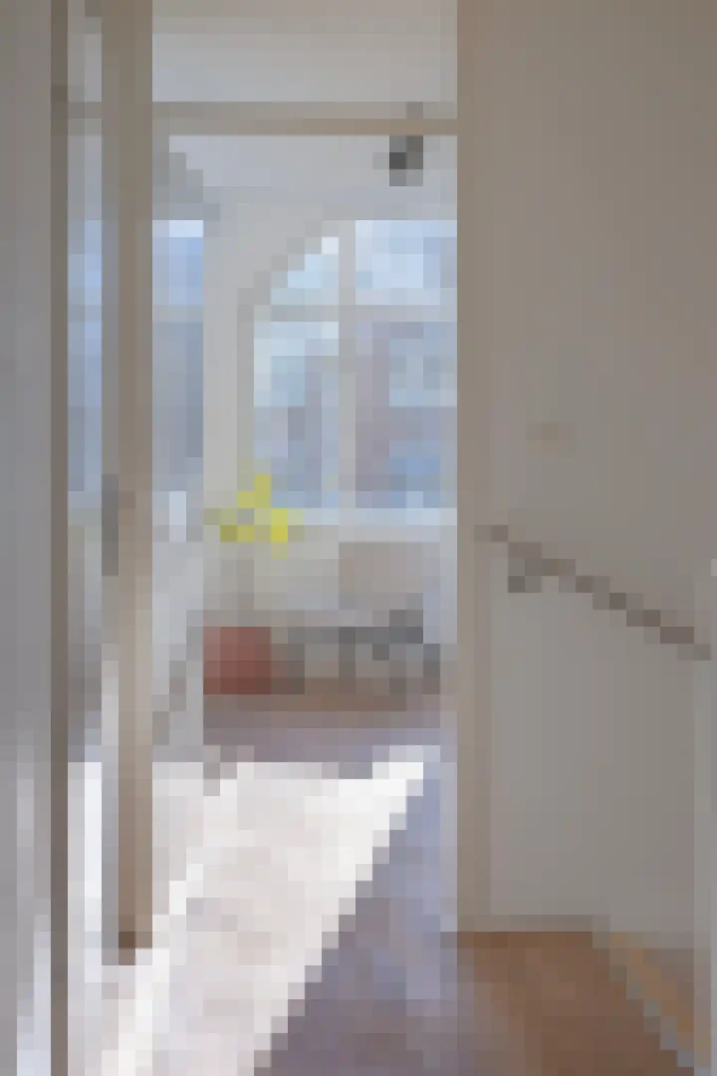 Sint-Jacobstraat 62 Rotterdam thumbnail 48