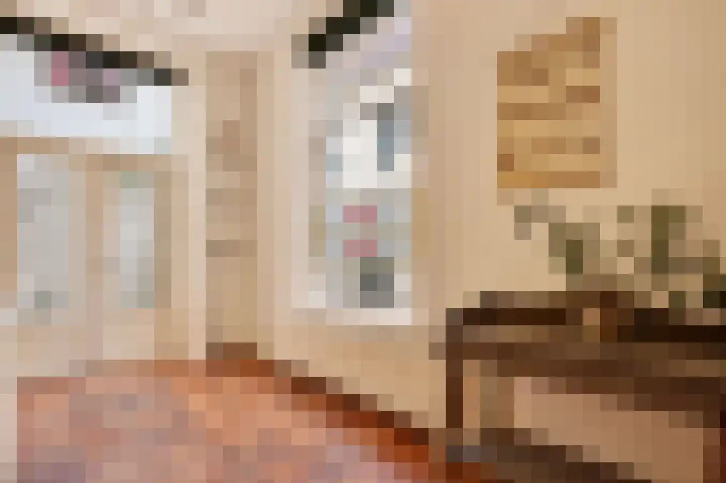 Sint Jacobstraat 7 Kampen thumbnail 13