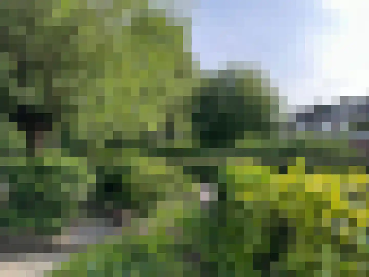 Sint-Jacobstraat 83 Rotterdam thumbnail 6