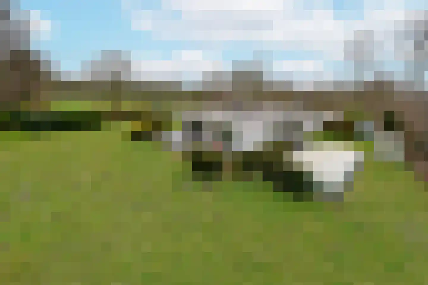 Sint Jacobsweg 4 A Malden thumbnail 37