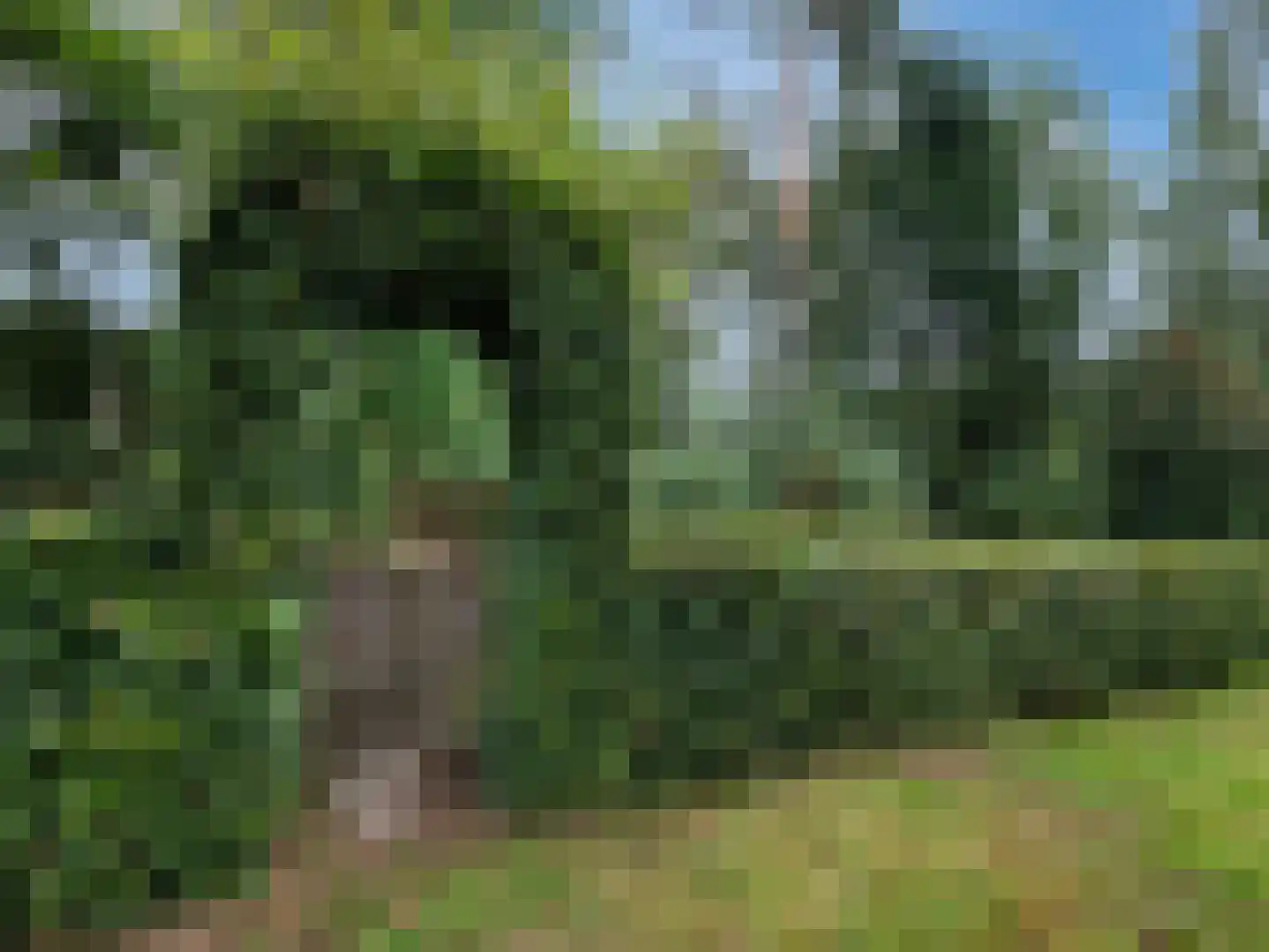 Sint Jacobsweg 4 Malden thumbnail 24