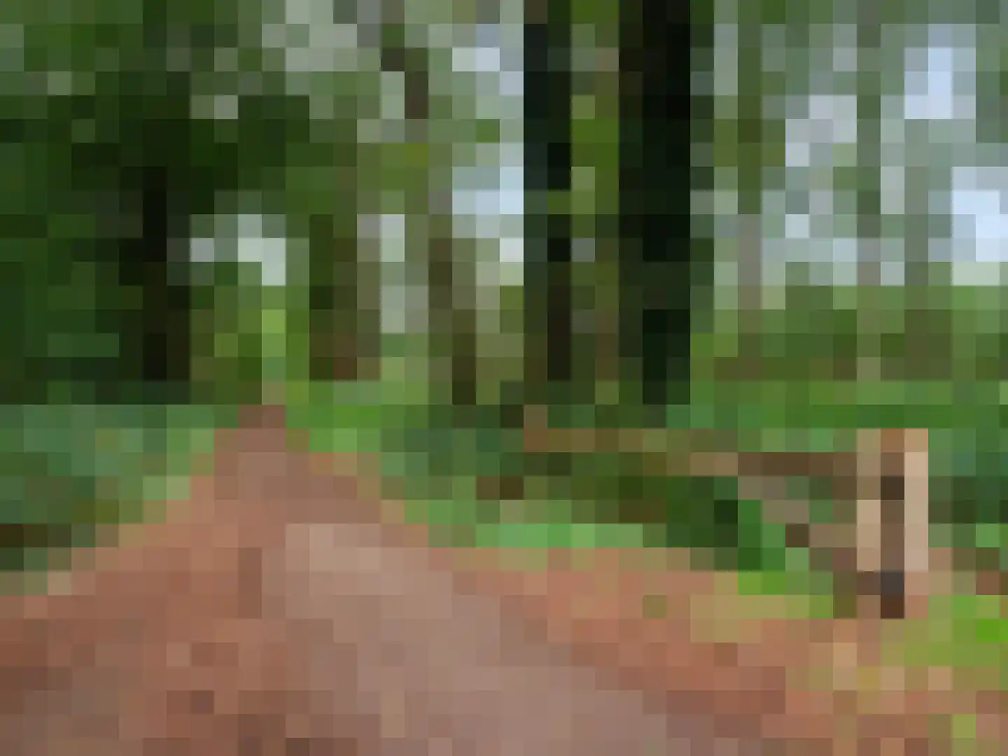 Sint Jacobsweg 4 Malden thumbnail 31
