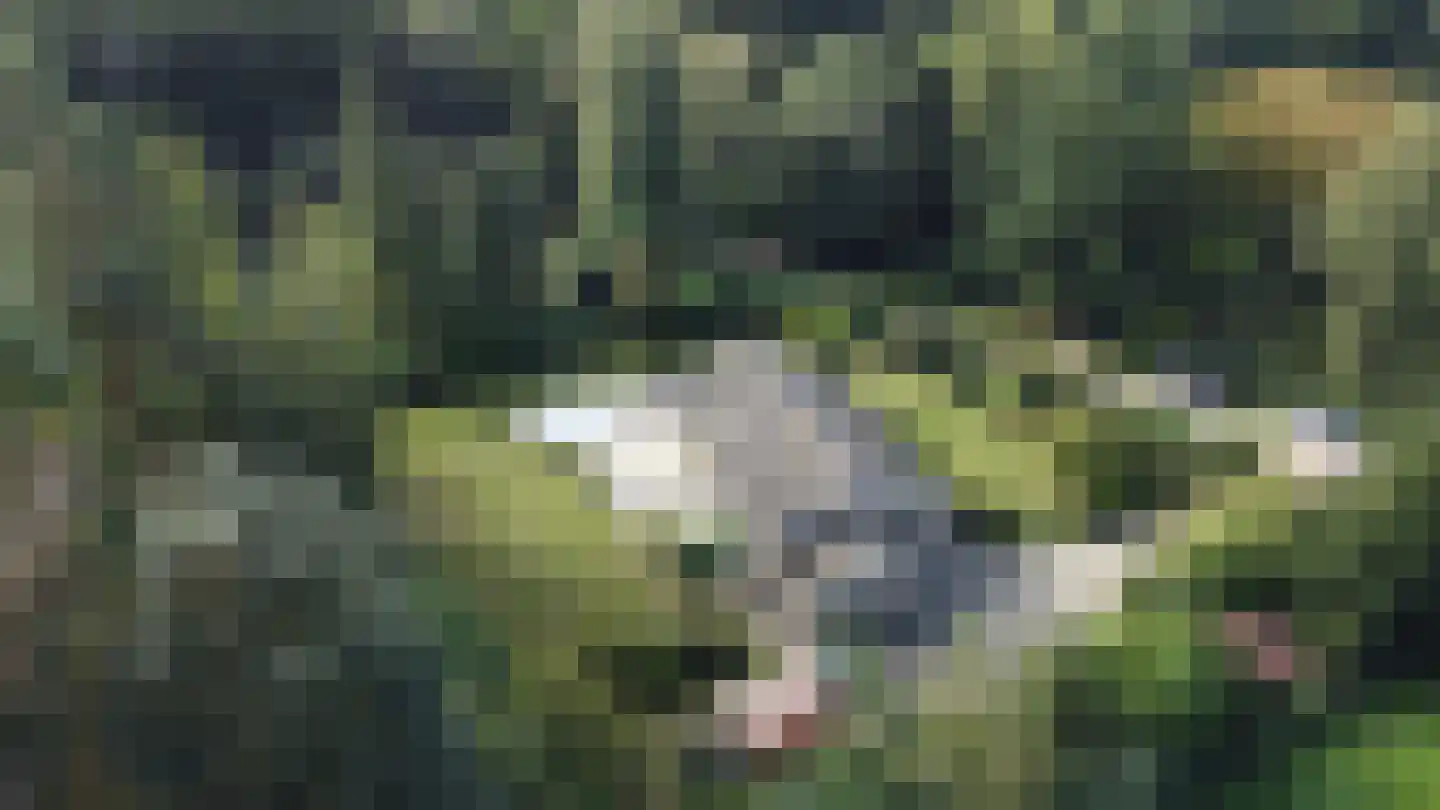 Sint Jacobsweg 4 Malden thumbnail 32