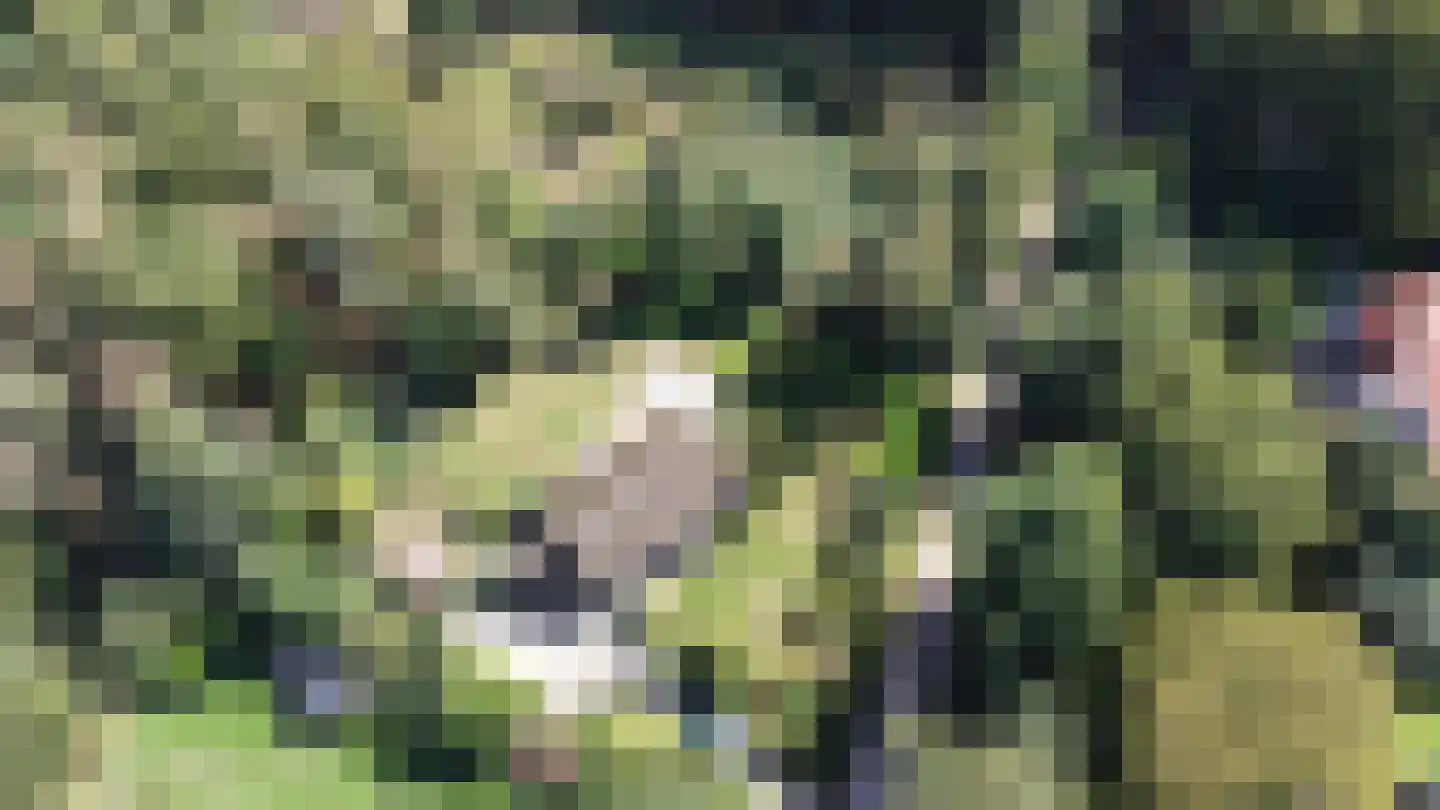 Sint Jacobsweg 4 Malden thumbnail 33