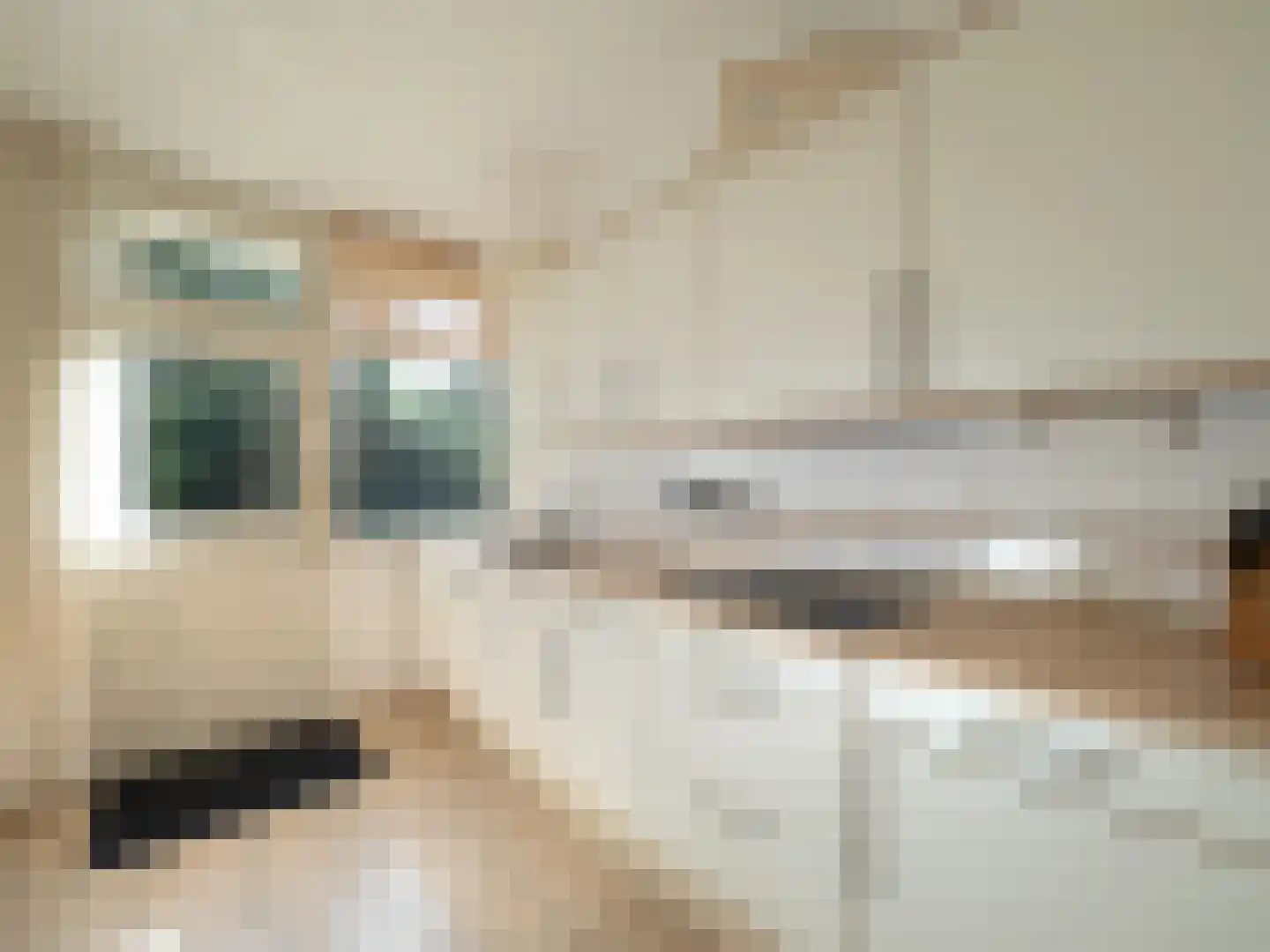 Sint Jacobsweg 4 Malden thumbnail 8