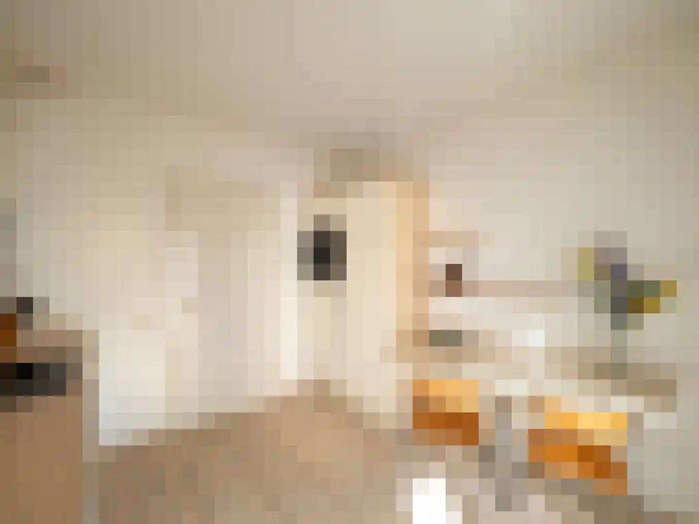 Sint Jacobsweg 4 Malden thumbnail 9