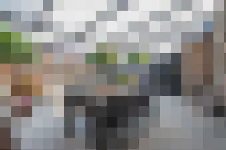Sint Janlaan 15 Heythuysen thumbnail 24