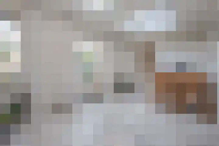 Sint Janlaan 15 Heythuysen thumbnail 6