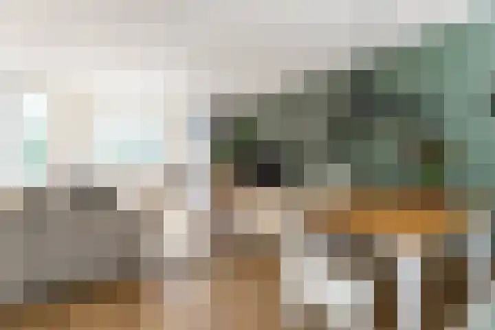 Sint Janplein 6 Boekel thumbnail 4