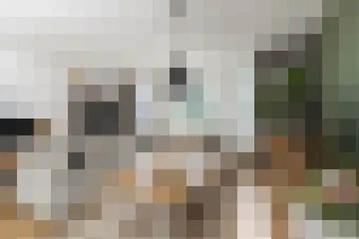 Sint Janplein 6 Boekel thumbnail 5
