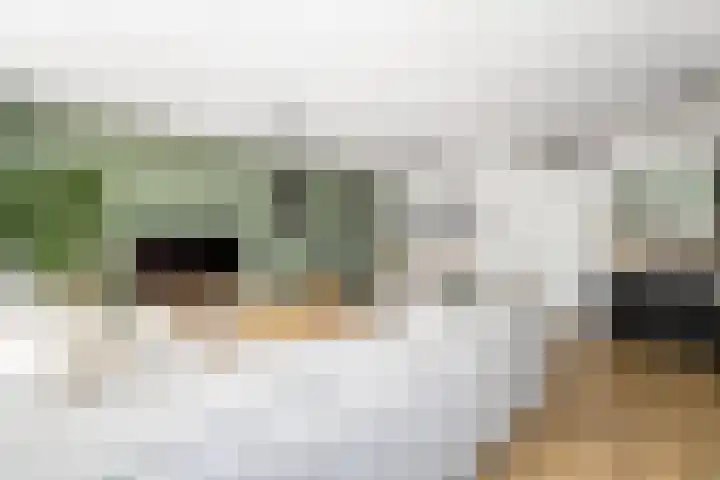 Sint Janplein 6 Boekel thumbnail 7