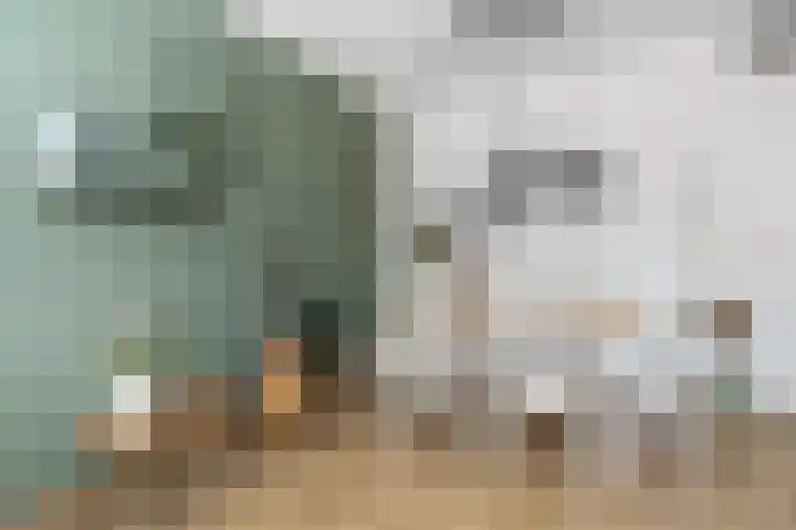 Sint Janplein 6 Boekel thumbnail 8