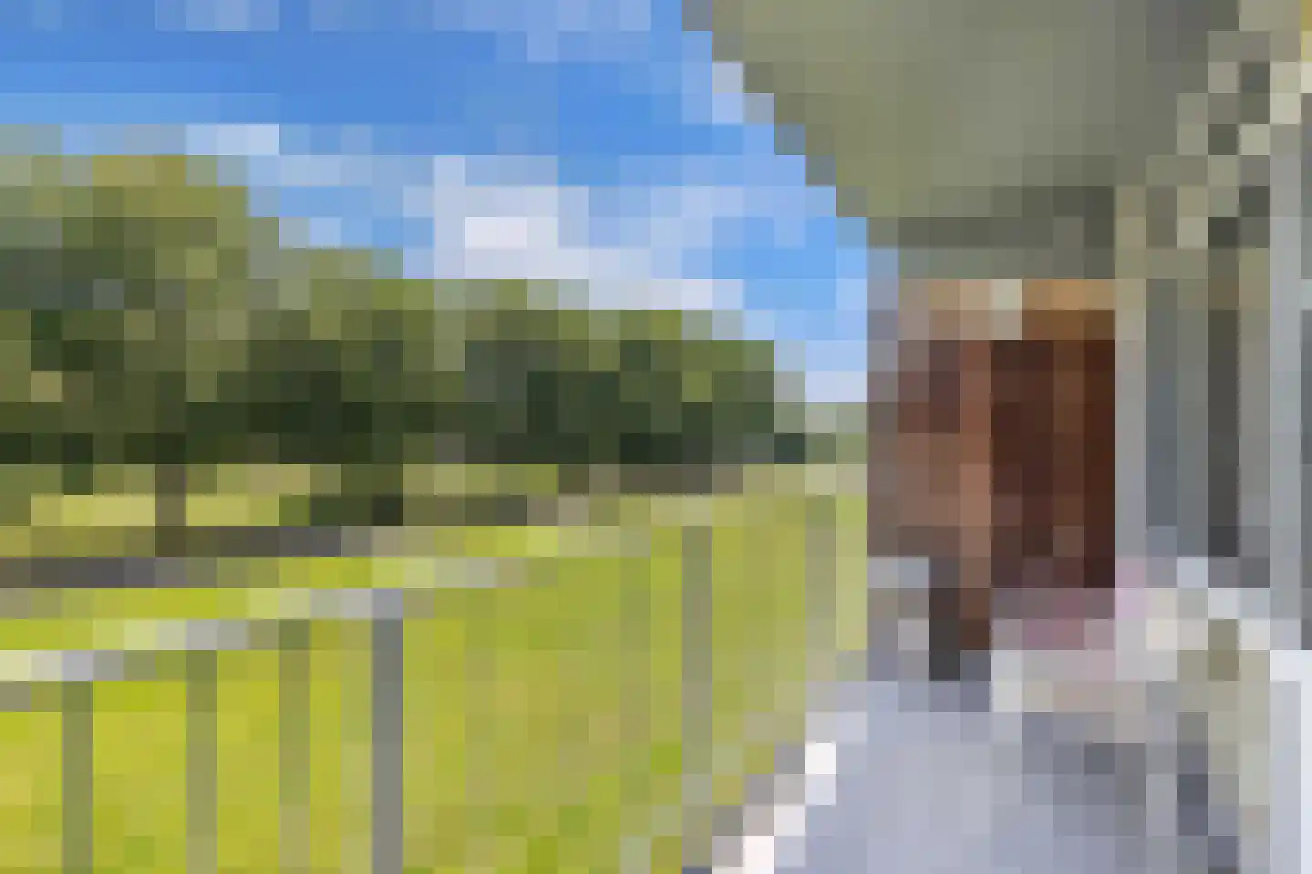 Sint Jansberg 108 Drachten thumbnail 30