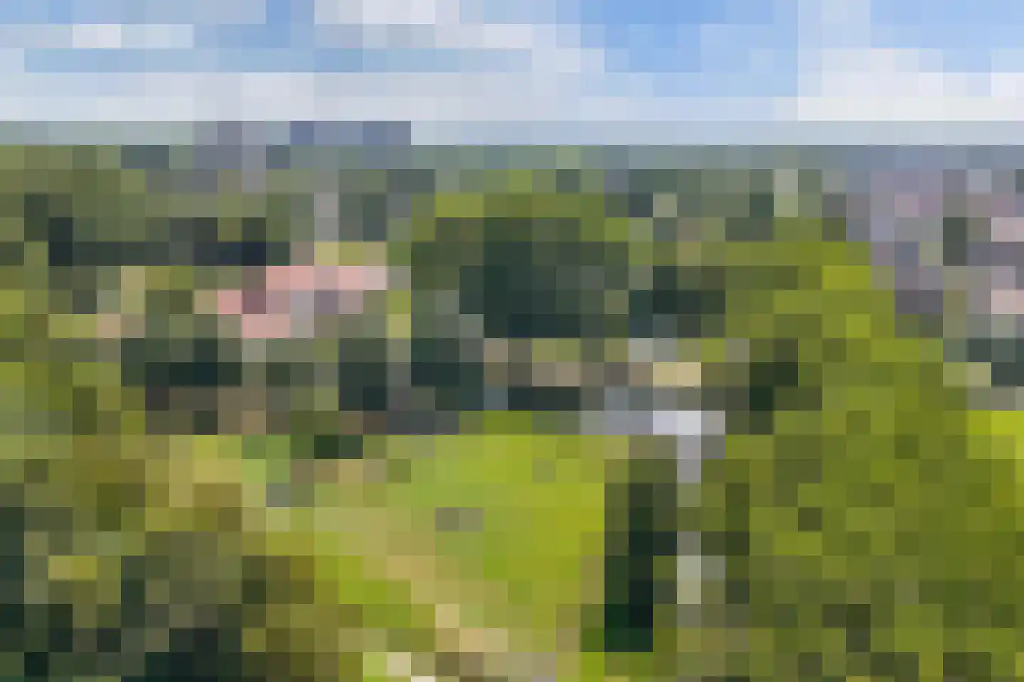 Sint Jansberg 108 Drachten thumbnail 43