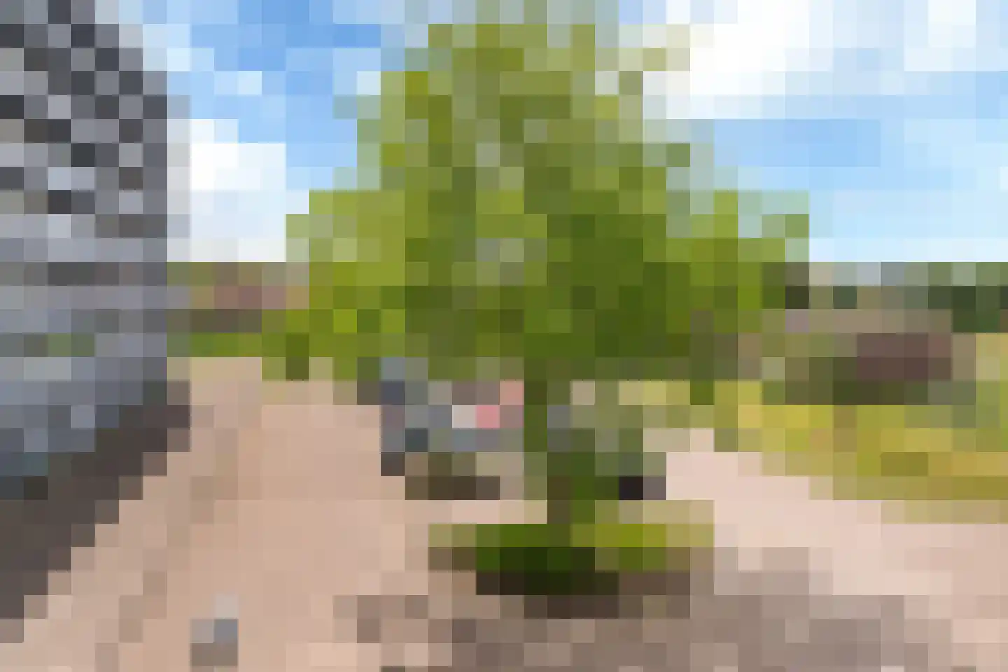 Sint Jansberg 132 Drachten thumbnail 36