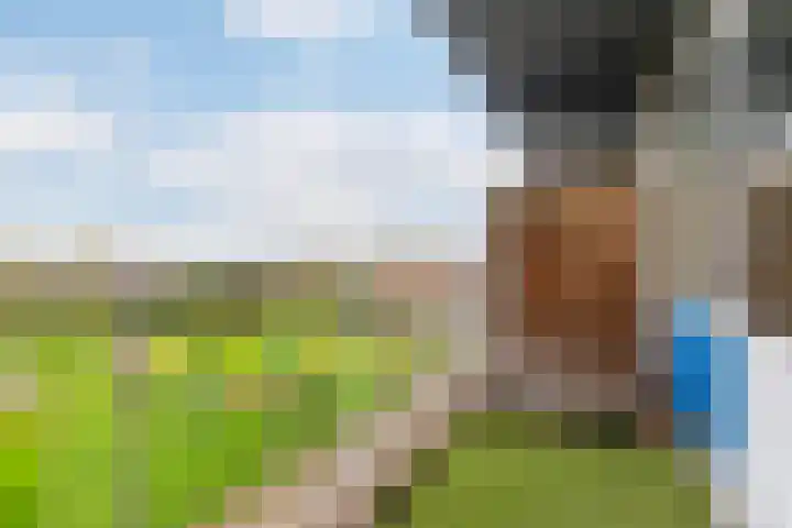 Sint Jansberg 188 Drachten thumbnail 20