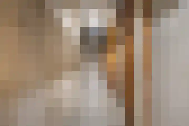 Sint Jansberg 188 Drachten thumbnail 25