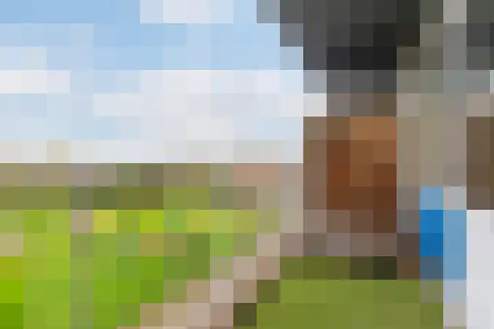 Sint Jansberg 188 Drachten thumbnail 4